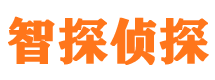 阜城外遇出轨调查取证